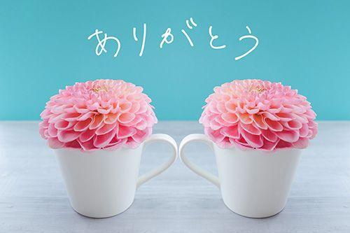 小林